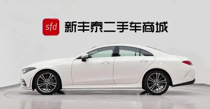 Mercedes-Benz CLS 2021 Model CLS 300 Dynamic Model – фото 3