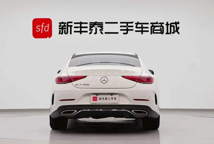 Mercedes-Benz CLS 2021 Model CLS 300 Dynamic Model – фото 5