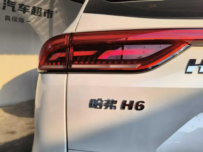 Haval H6 2021 Model Guo Trendy Edition 1.5T Automatic Champion Edition – фото 10