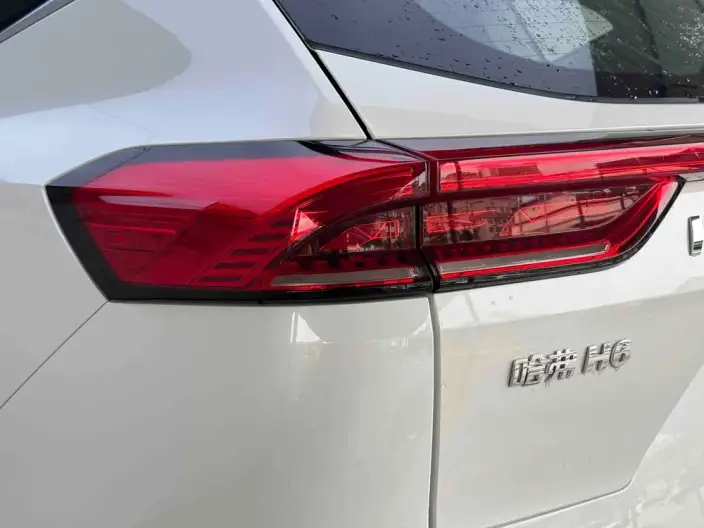 Haval H6 2021 Model Guo Trendy Edition 1.5T Automatic Champion Edition – фото 9
