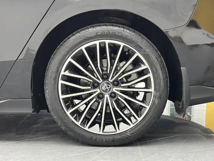 BYD Han DM 2022 Model DM-i 121KM Exclusive Model – фото 9
