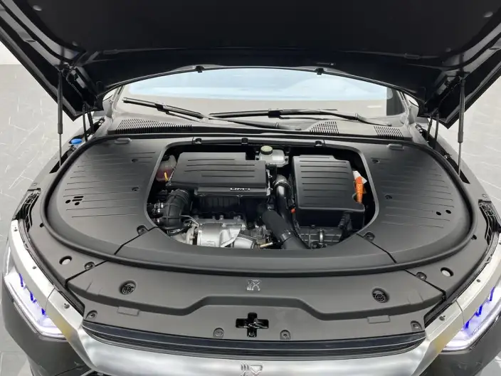 BYD Han DM 2022 Model DM-i 121KM Exclusive Model – фото 10