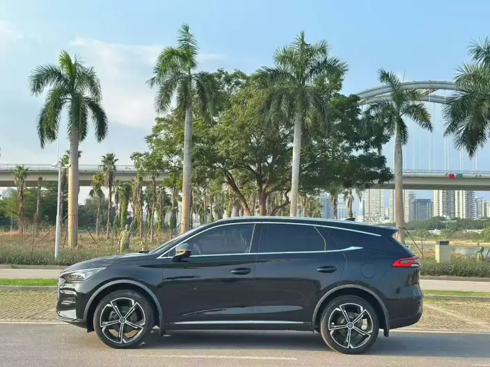 BYD Tang DM 2021 Model DM-i 1.5T 112KM Zunrong Model – фото 3