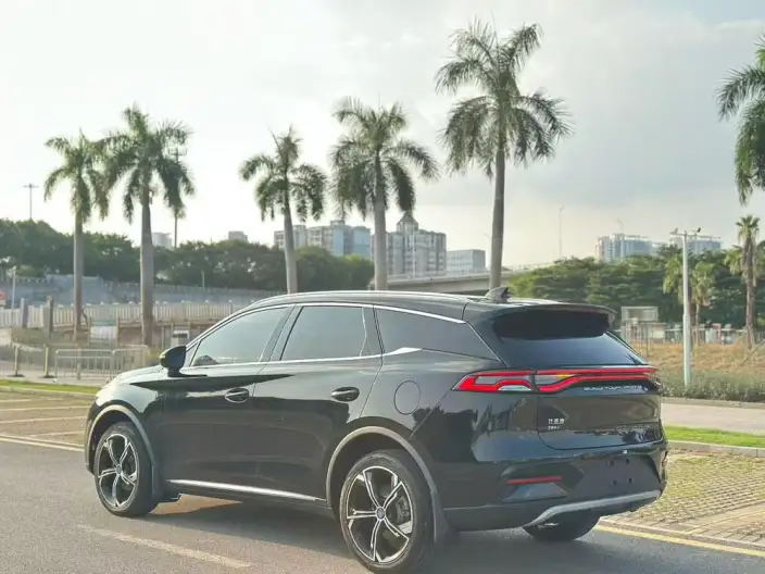 BYD Tang DM 2021 Model DM-i 1.5T 112KM Zunrong Model – фото 4