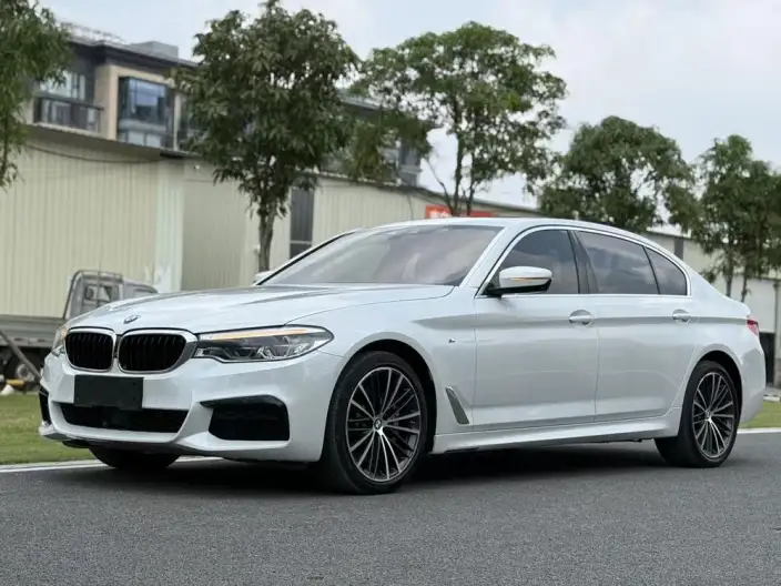 BMW 5 Series 2020 Model 530Li Exclusive Model M Sports Set – фото 1