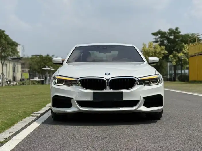 BMW 5 Series 2020 Model 530Li Exclusive Model M Sports Set – фото 2