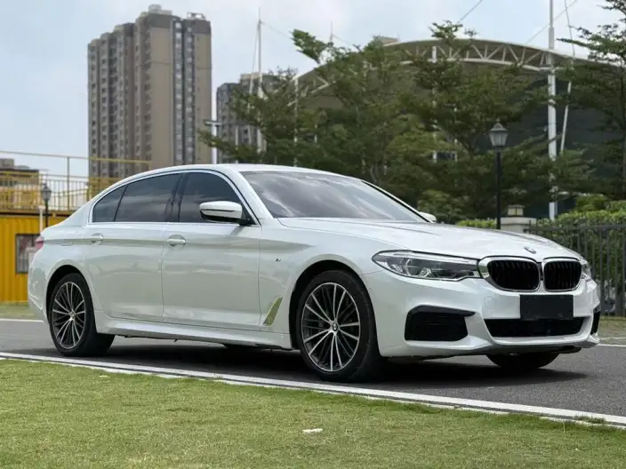 BMW 5 Series 2020 Model 530Li Exclusive Model M Sports Set – фото 3