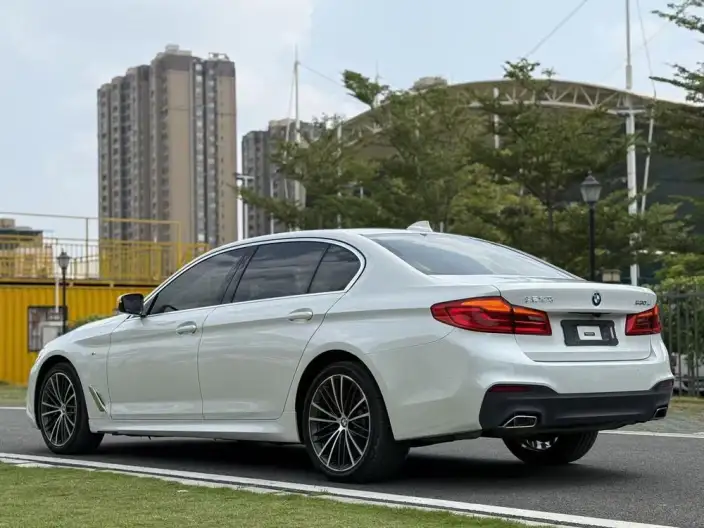 BMW 5 Series 2020 Model 530Li Exclusive Model M Sports Set – фото 4
