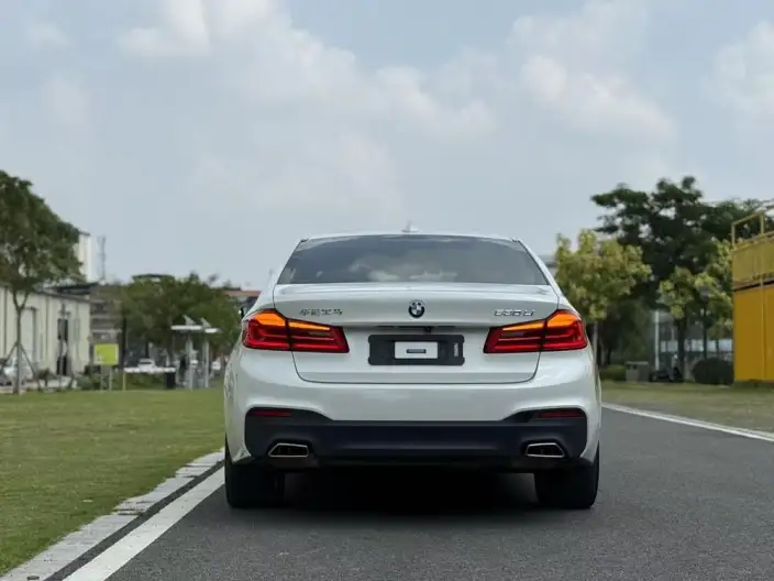 BMW 5 Series 2020 Model 530Li Exclusive Model M Sports Set – фото 5
