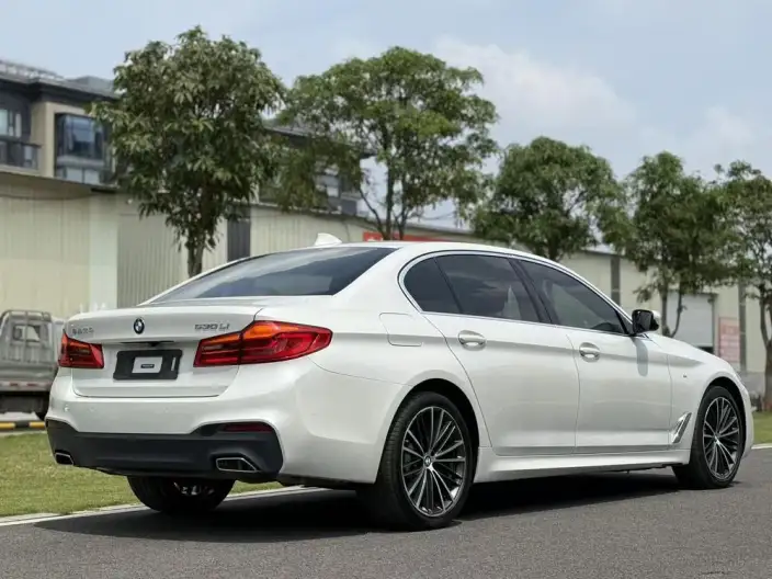 BMW 5 Series 2020 Model 530Li Exclusive Model M Sports Set – фото 6