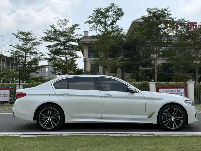 BMW 5 Series 2020 Model 530Li Exclusive Model M Sports Set – фото 7