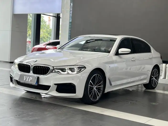BMW 5 Series 2020 Model 530Li Leading Model M Sports Set – фото 1