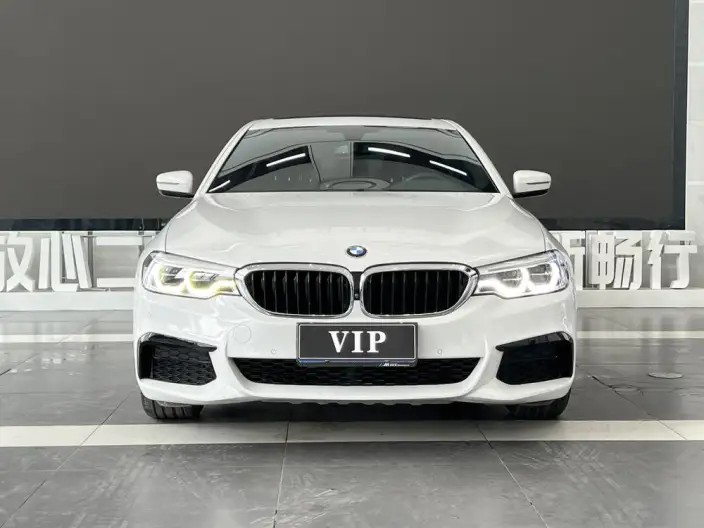 BMW 5 Series 2020 Model 530Li Leading Model M Sports Set – фото 2