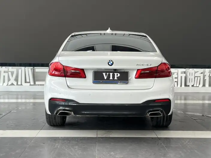 BMW 5 Series 2020 Model 530Li Leading Model M Sports Set – фото 5