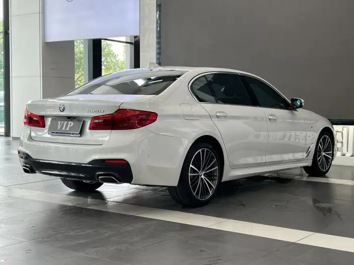 BMW 5 Series 2020 Model 530Li Leading Model M Sports Set – фото 6