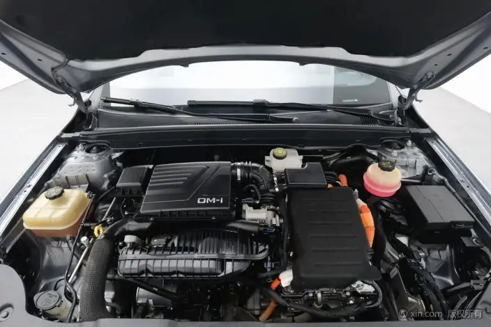 BYD Qin PLUS DM 2021 Model DM-i 55KM Flagship Model – фото 5