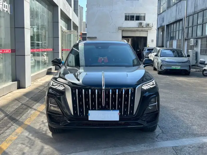 Hongqi HS5 2023 Model 2.0T Flag Xiang Pro Edition – фото 2