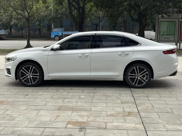Geely StarRui 2021 Model 2.0T Noble Model – фото 4