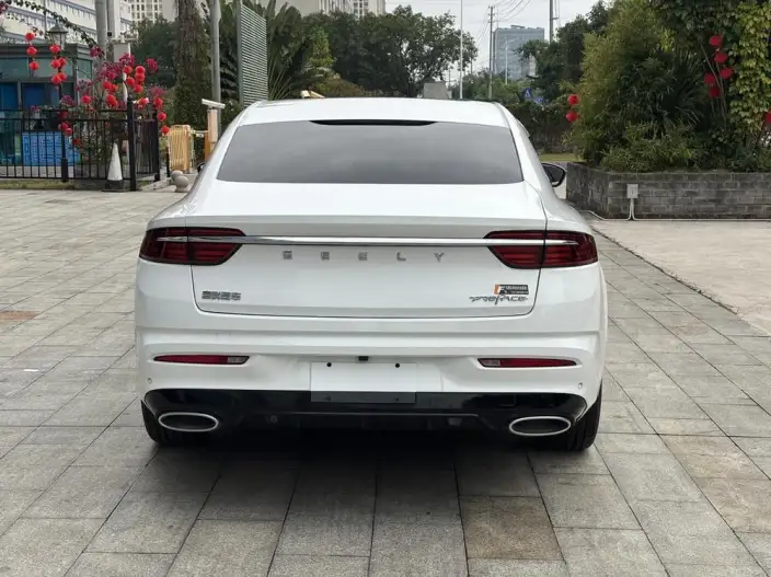 Geely StarRui 2021 Model 2.0T Noble Model – фото 6