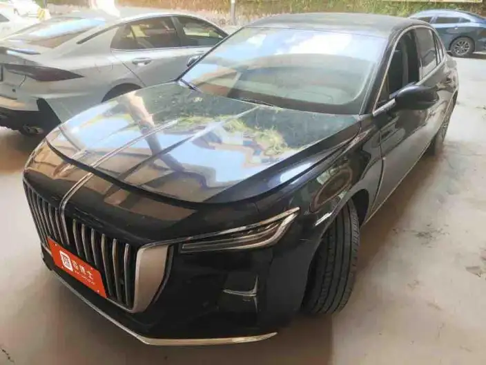 Hongqi H5 2023 Model 2.0T Automatic Smart Flag Enjoy Edition – фото 1