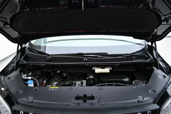 HONGQI HQ9 PHEV 2024 Model 4WD Deluxe Edition – фото 10