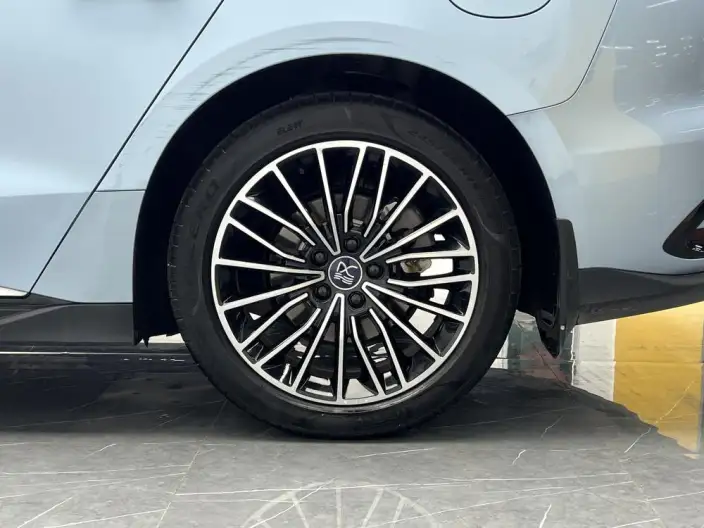 BYD Han DM 2023 Model DM-i Champion Edition 121KM Exclusive Model – фото 9