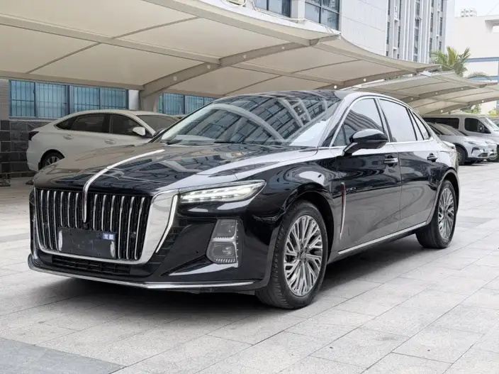 Hongqi H5 2023 Model 2.0T Automatic Flag Enjoy Edition – фото 1