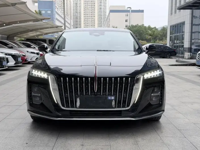 Hongqi H5 2023 Model 2.0T Automatic Flag Enjoy Edition – фото 2