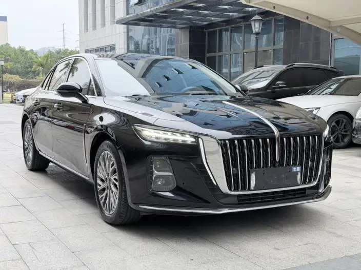 Hongqi H5 2023 Model 2.0T Automatic Flag Enjoy Edition – фото 3