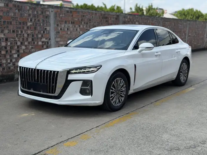Hongqi H5 2023 Model 2.0T Automatic Smart Flag Enjoy Edition – фото 10