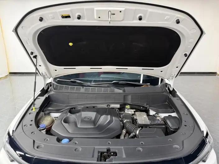 Changan CS35 PLUS 2022 Model Blue whale NE 1.4T DCT Luxury Model – фото 10
