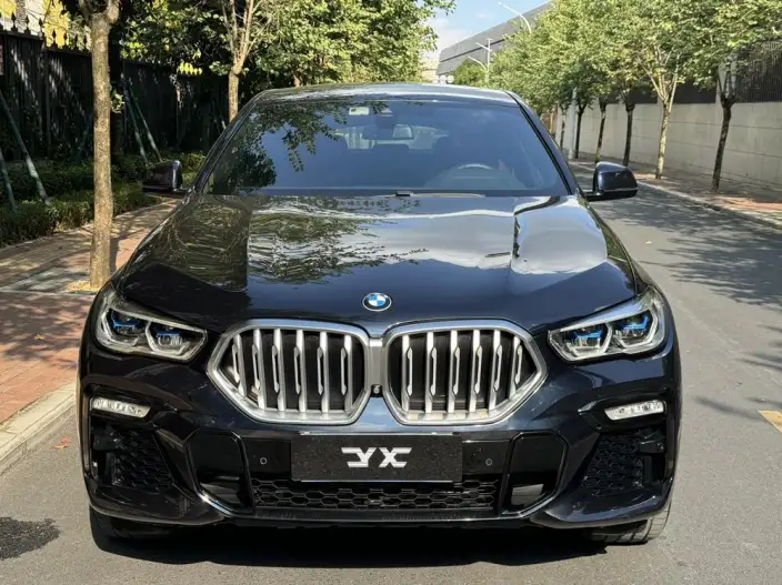 BMW X6 2020 Model xDrive40i M Sports Set – фото 2