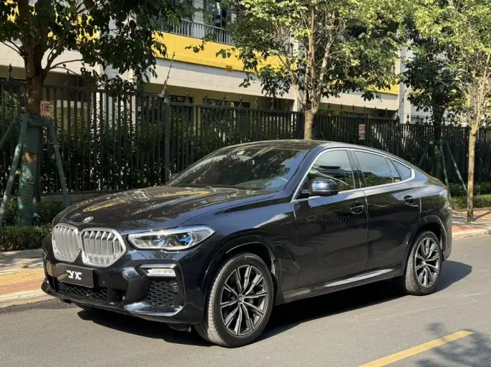 BMW X6 2020 Model xDrive40i M Sports Set – фото 8