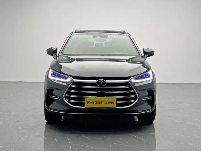 BYD Tang DM 2023 Model DM-i Champion Edition 112KM Exclusive Model – фото 2