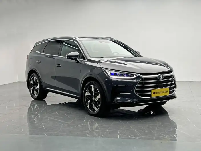BYD Tang DM 2023 Model DM-i Champion Edition 112KM Exclusive Model – фото 3
