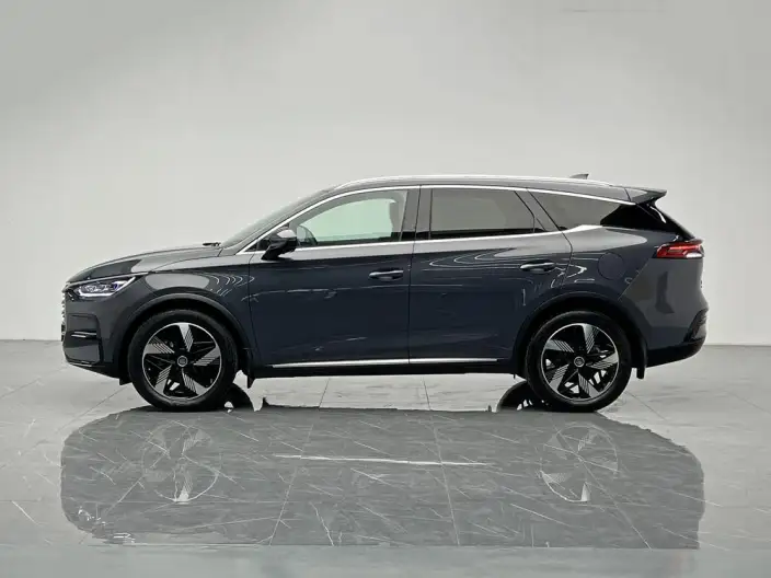BYD Tang DM 2023 Model DM-i Champion Edition 112KM Exclusive Model – фото 4
