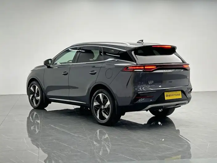 BYD Tang DM 2023 Model DM-i Champion Edition 112KM Exclusive Model – фото 5