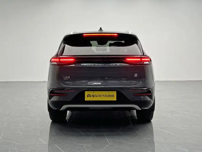 BYD Tang DM 2023 Model DM-i Champion Edition 112KM Exclusive Model – фото 6
