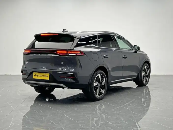 BYD Tang DM 2023 Model DM-i Champion Edition 112KM Exclusive Model – фото 7