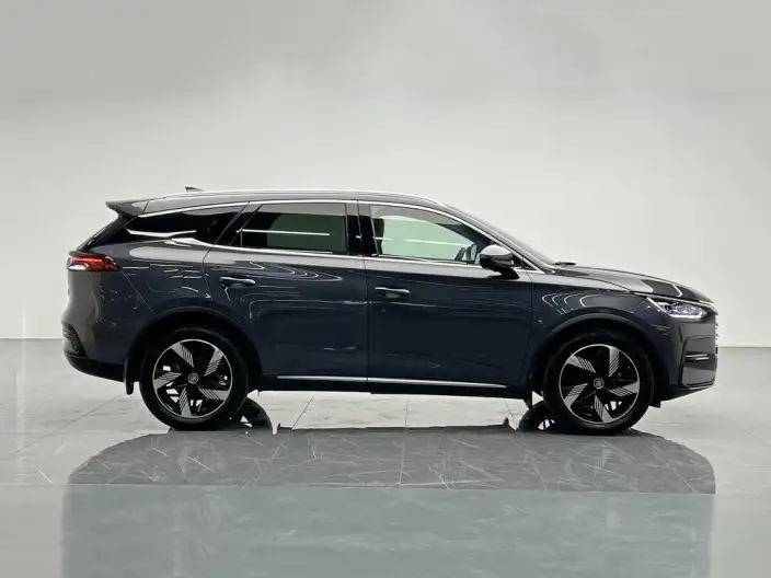 BYD Tang DM 2023 Model DM-i Champion Edition 112KM Exclusive Model – фото 8
