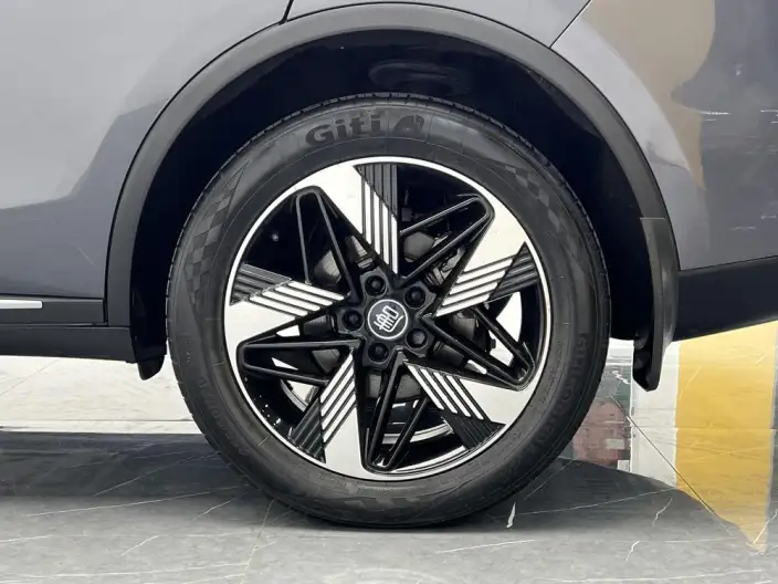 BYD Tang DM 2023 Model DM-i Champion Edition 112KM Exclusive Model – фото 9