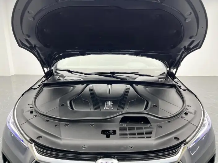 BYD Tang DM 2023 Model DM-i Champion Edition 112KM Exclusive Model – фото 10