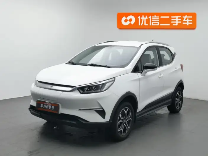 Yuan Pro 2021 Model 401KM Luxury Model – фото 1