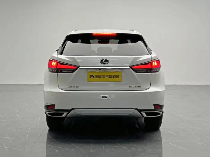 Lexus RX 2020 Model Facelift 300 4WD Elegant Edition – фото 6