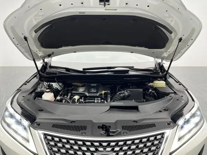 Lexus RX 2020 Model Facelift 300 4WD Elegant Edition – фото 10