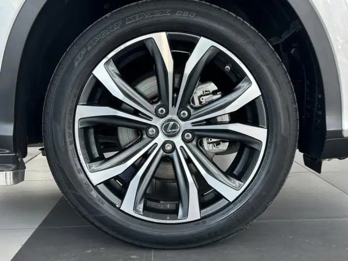 Lexus RX 2020 Model Facelift 300 4WD Elegant Edition – фото 7