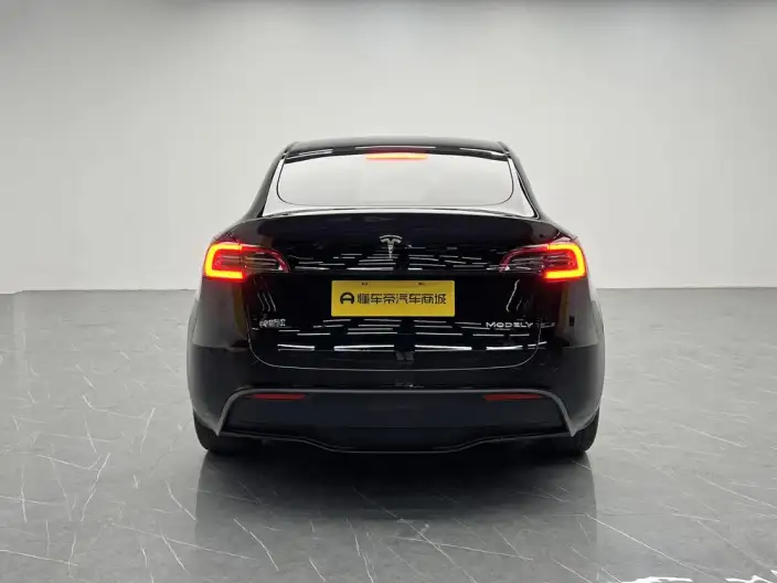 Model Y 2022 Model Facelift Long Battery Life Pro All-wheel drive version – фото 6