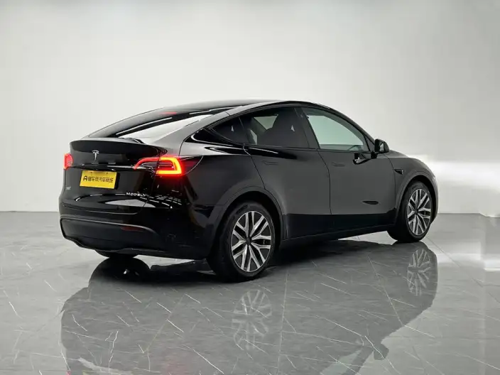Model Y 2022 Model Facelift Long Battery Life Pro All-wheel drive version – фото 7