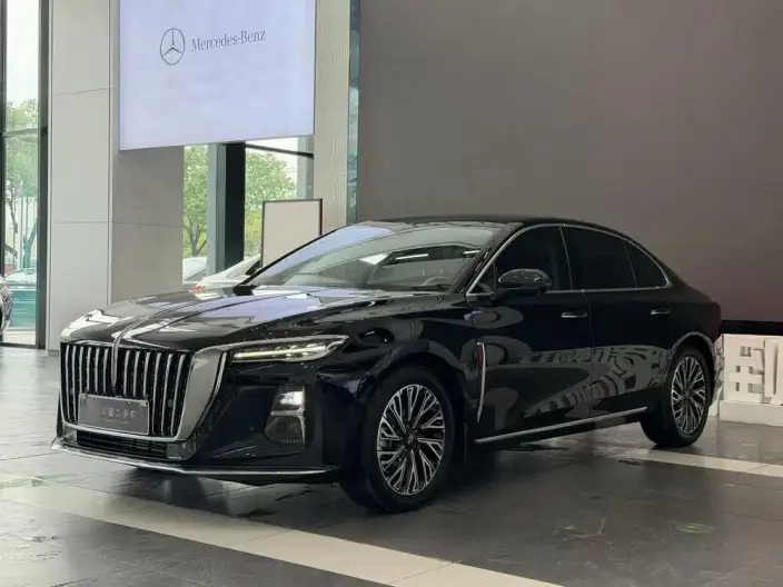 Hongqi H5 2024 Model 2.0T Automatic Flag Enjoy Edition – фото 1