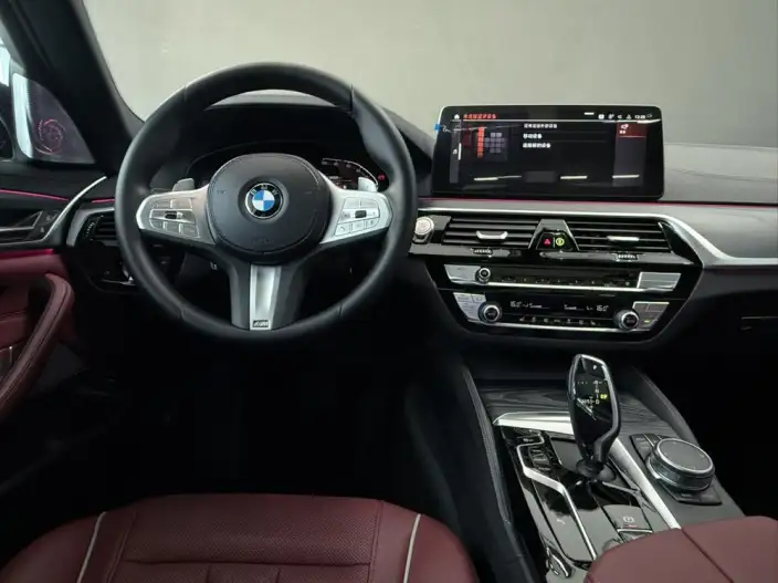 BMW 5 Series 2023 Model 530Li Leading Model M Sports Set – фото 10